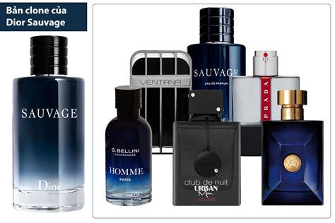 best dior sauvage clone|best version of dior sauvage.